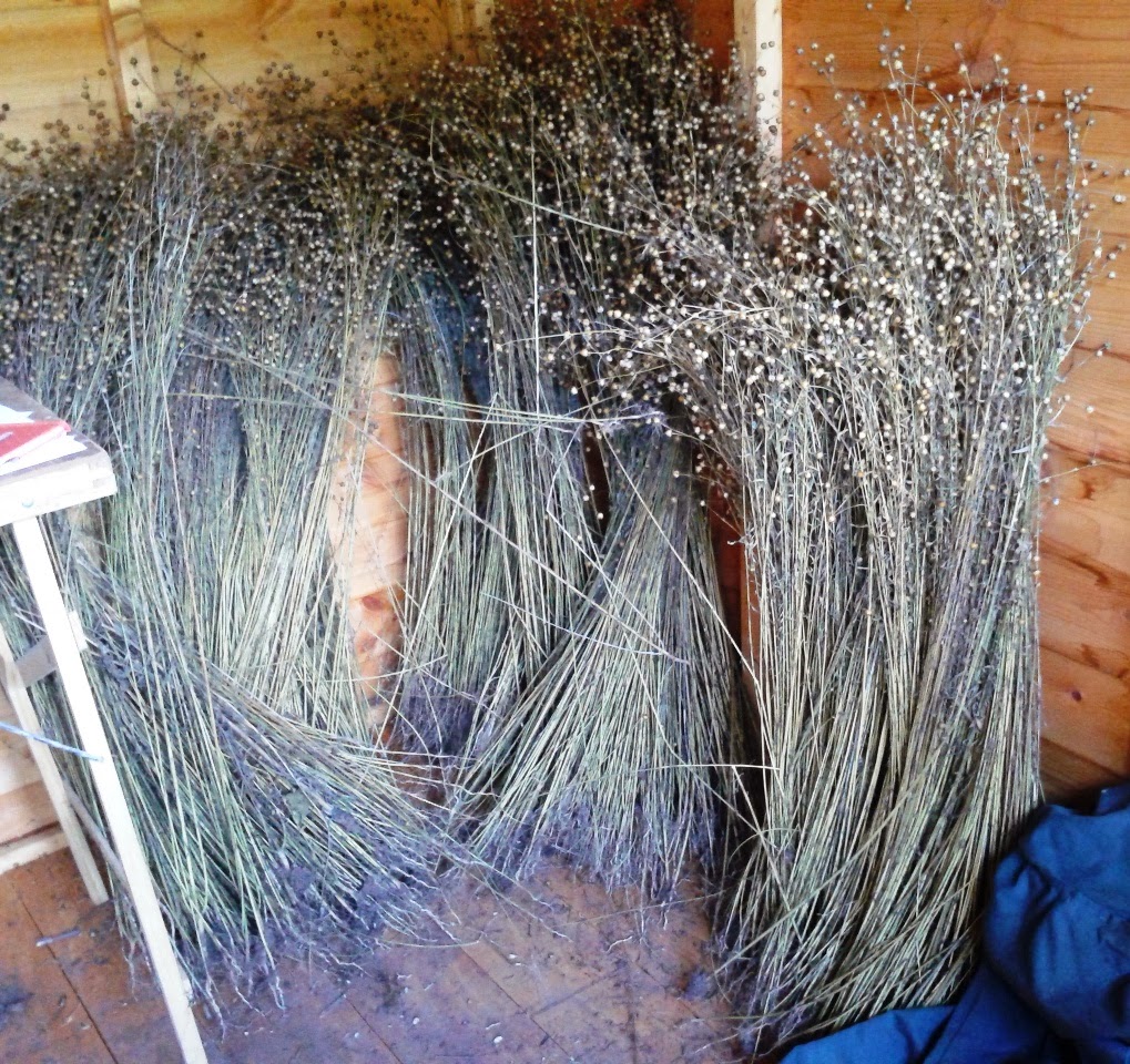 flax drying