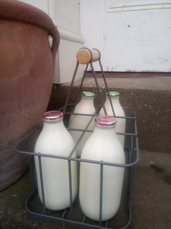 Unpackaged Food revolution - milk in glass bottles sitting on the doorstep