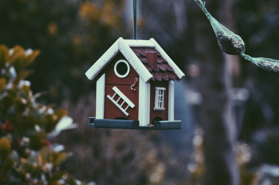 Where will your homestead be? Image of a toy house hanging on a tree. Photo by Jelle Harmen van Mourik from unsplash.com on https://www.gohomespun.com