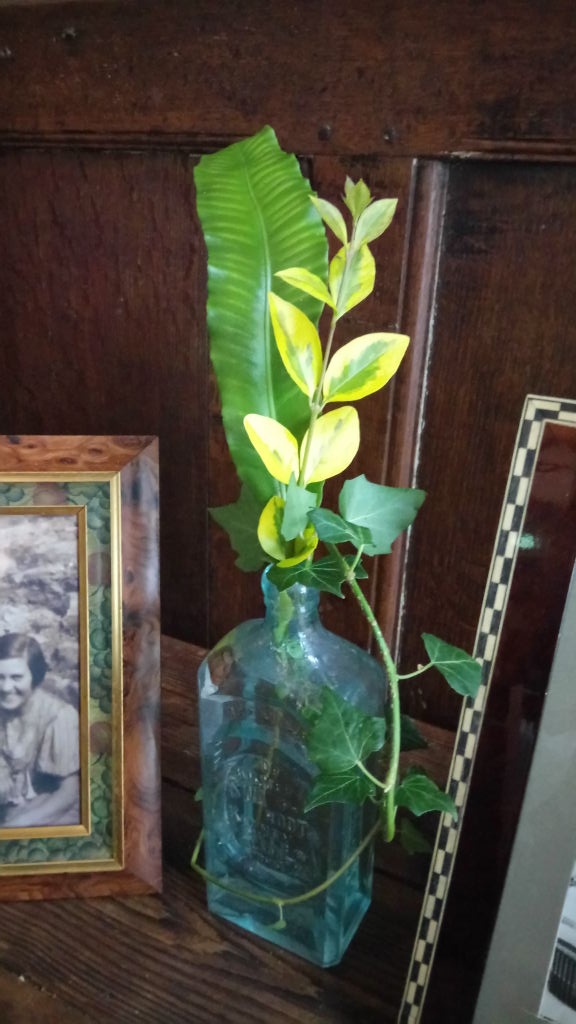 Resourceful wedding foliage - image of fern and shrub leaves in an antique bottle