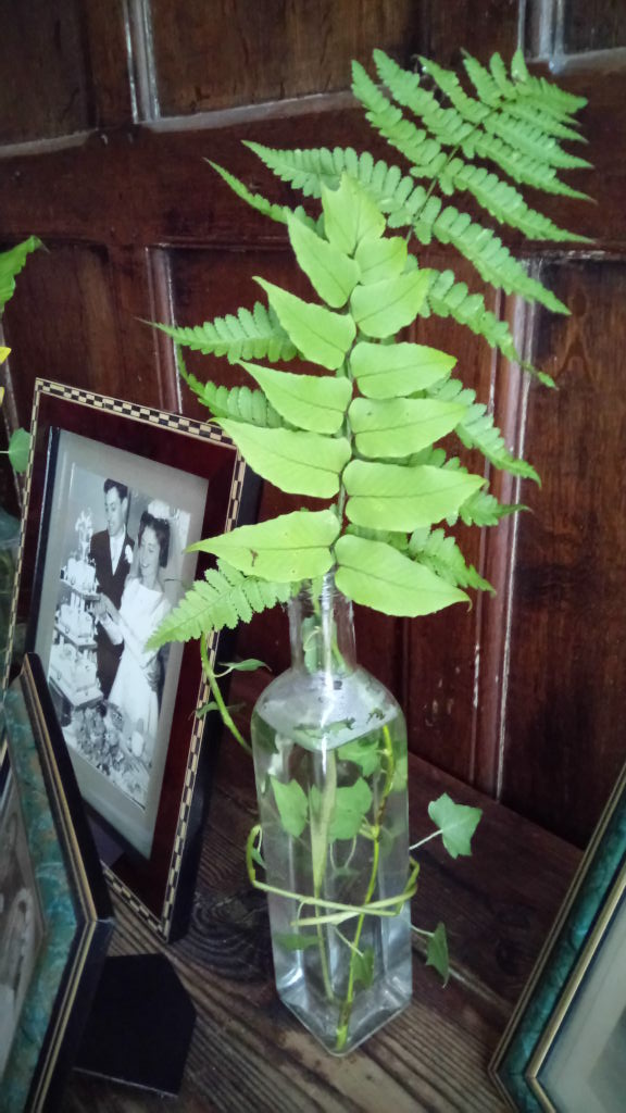 Resourceful wedding foliage - image of fern leaves in a bottle