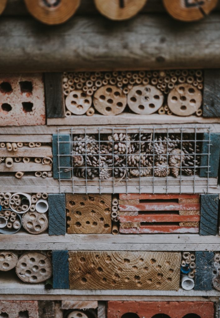 Feed the birds - a close up of a bug hotel