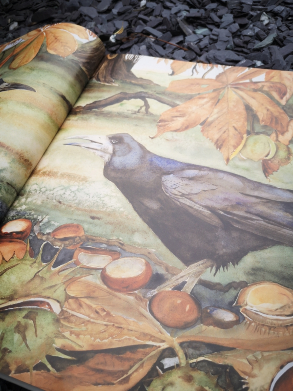 Lost words: illustration by Jackie Morris showing ravens and conkers from The Lost Words - A Spell Book